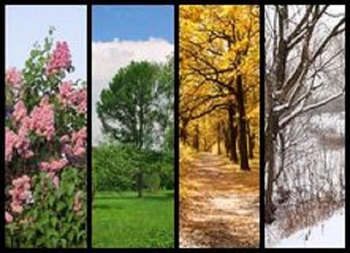 Four Season