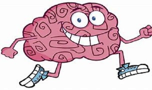 Brain